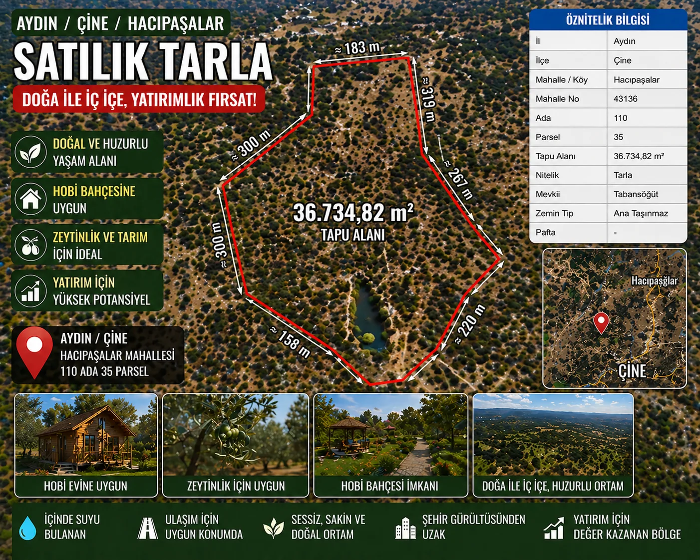 🌿 AYDIN ÇİNE HAÇIPAŞALAR’DA 36.734 m² SATILIK TARLA görsel 1