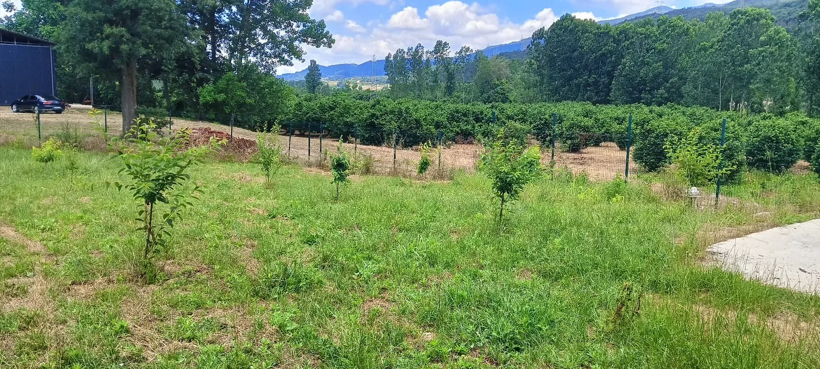MAISON INDÉPENDANTE AVEC JARDIN À VENDRE À SAKARYA AKYAZI ÇAKIROĞLU image 15