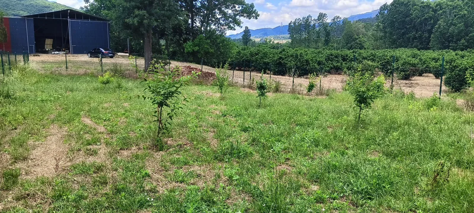 MAISON INDÉPENDANTE AVEC JARDIN À VENDRE À SAKARYA AKYAZI ÇAKIROĞLU image 14