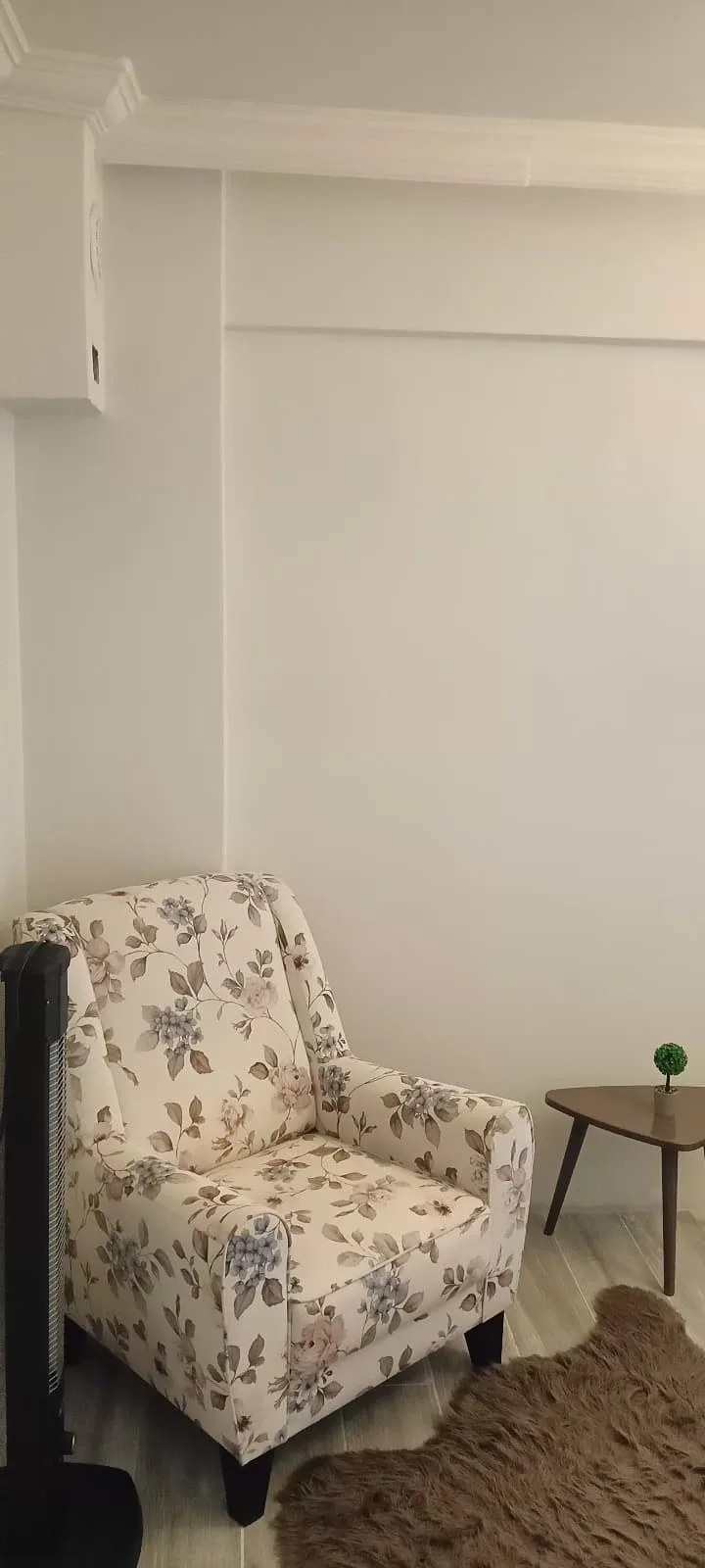 MAISON INDÉPENDANTE AVEC JARDIN À VENDRE À SAKARYA AKYAZI ÇAKIROĞLU image 45
