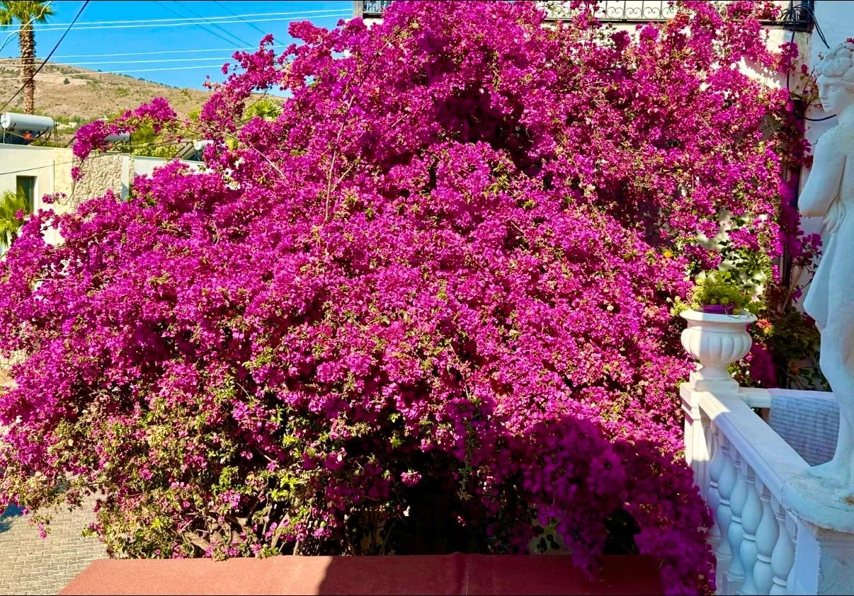 VILLA À VENDRE À 40 MÈTRES DE LA MER À TÜRKBÜKÜ image 7