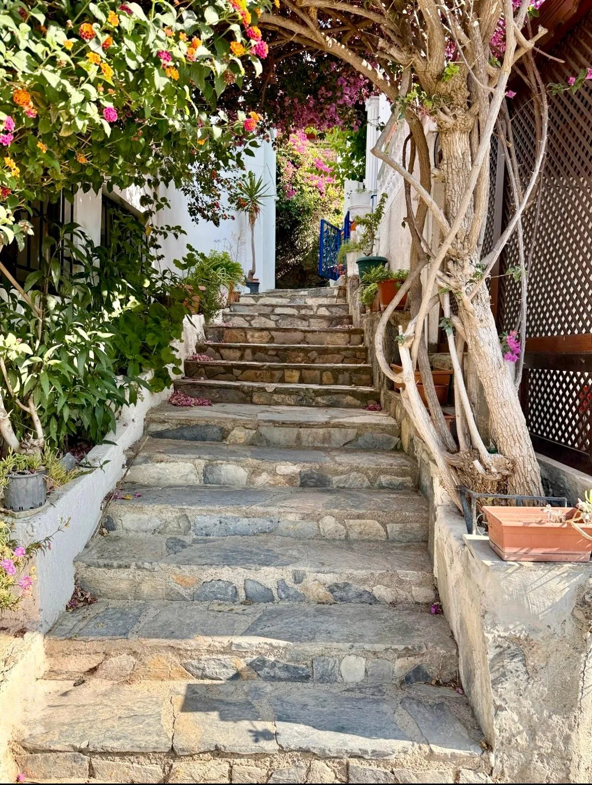 VILLA À VENDRE À 40 MÈTRES DE LA MER À TÜRKBÜKÜ image 8